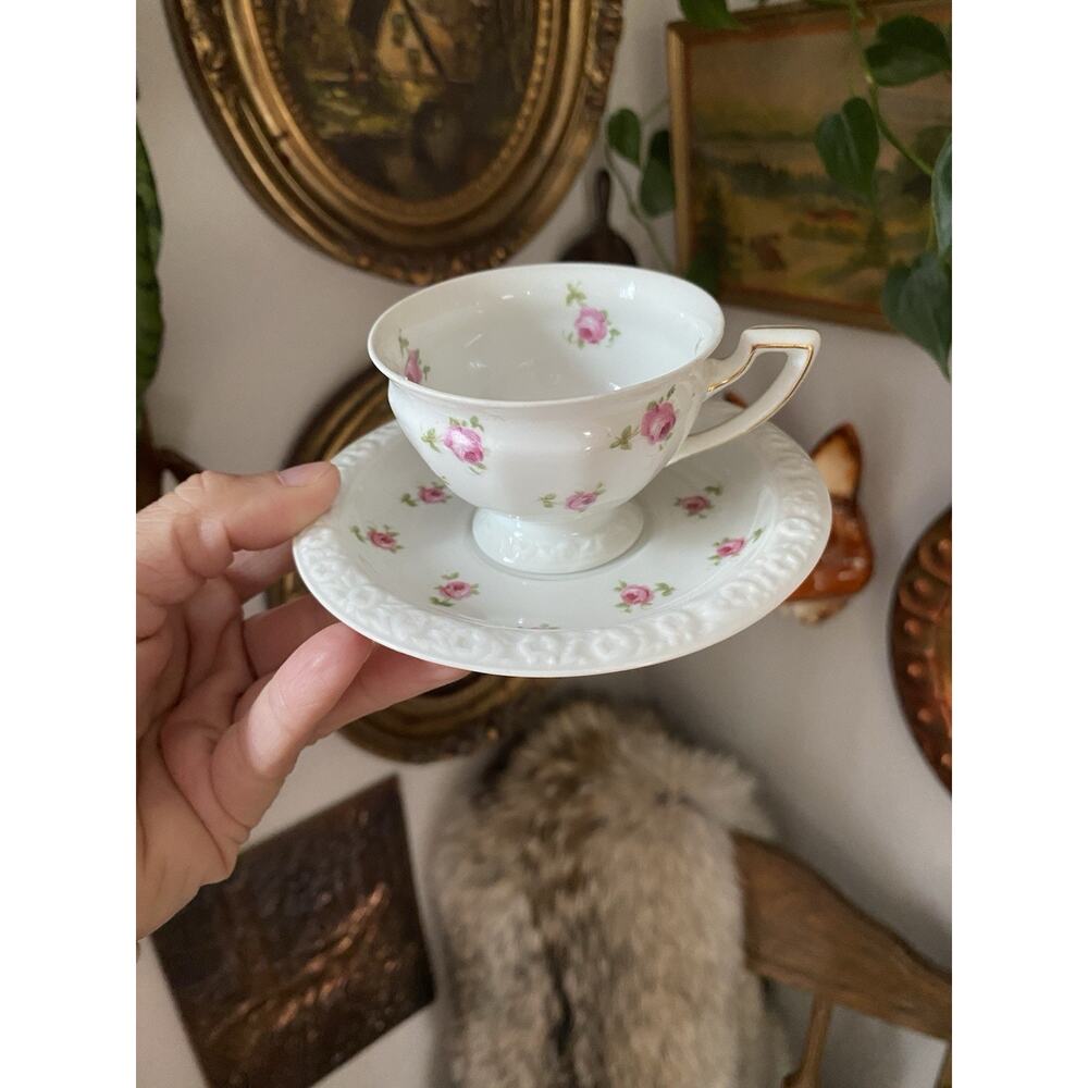 Vintage Rosenthal Maria Tea Cup and Saucer Germany Cottagecore Pink Floral